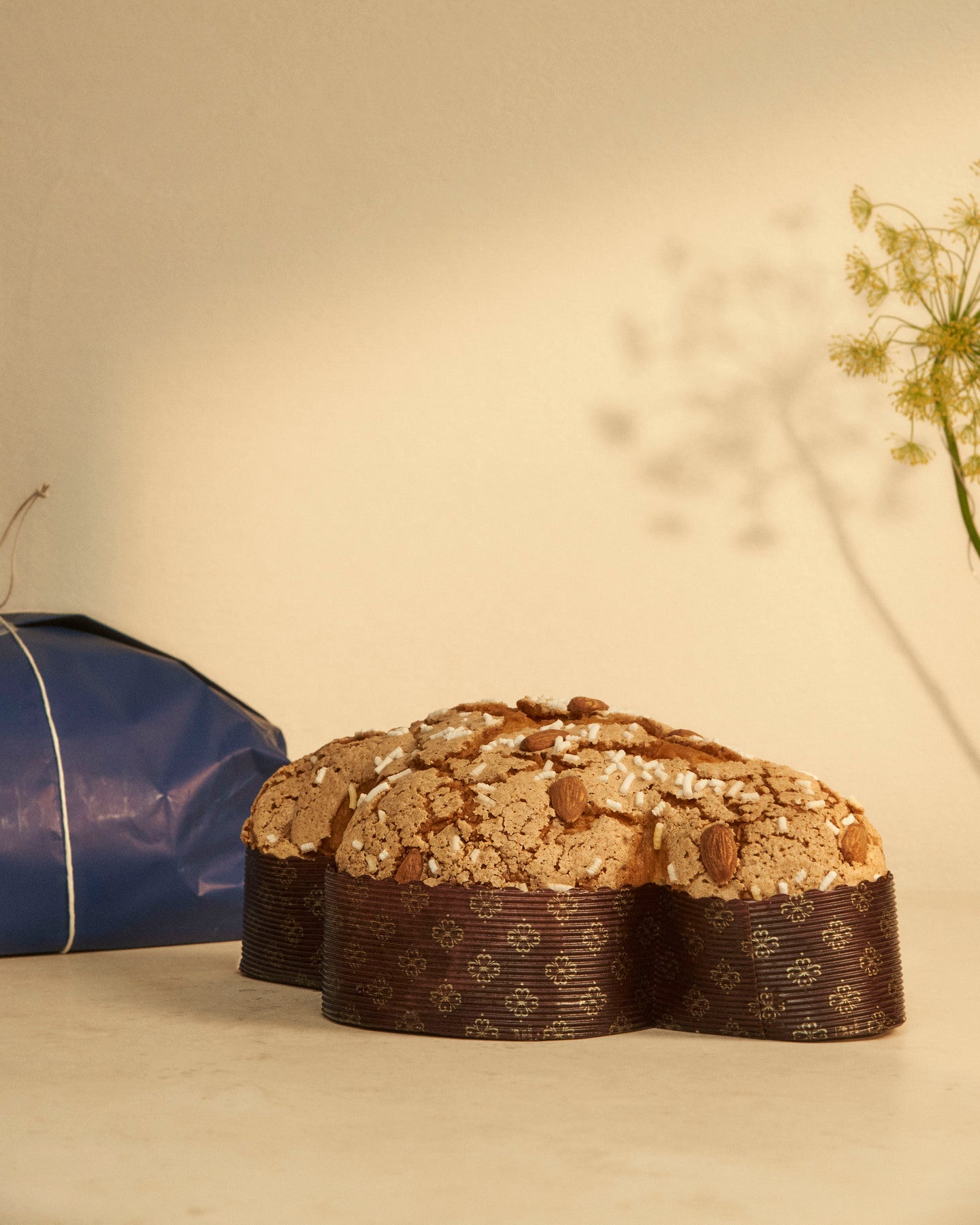 Handmade Easter Dove Cake with Romanengo Candied Clementines