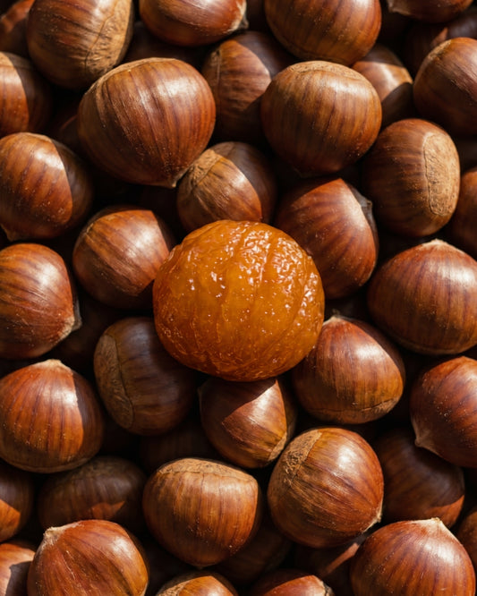 Marroni Canditi e Ghiacciati