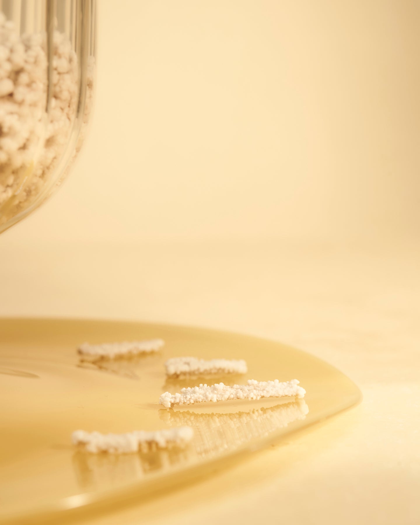 Sugar-coated Cinnamon Bark