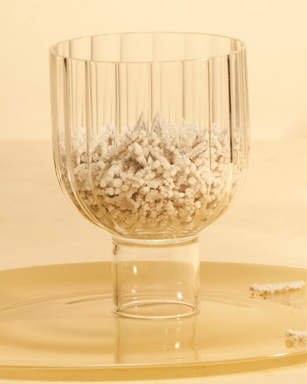 Corteccia di Cannella Confettata