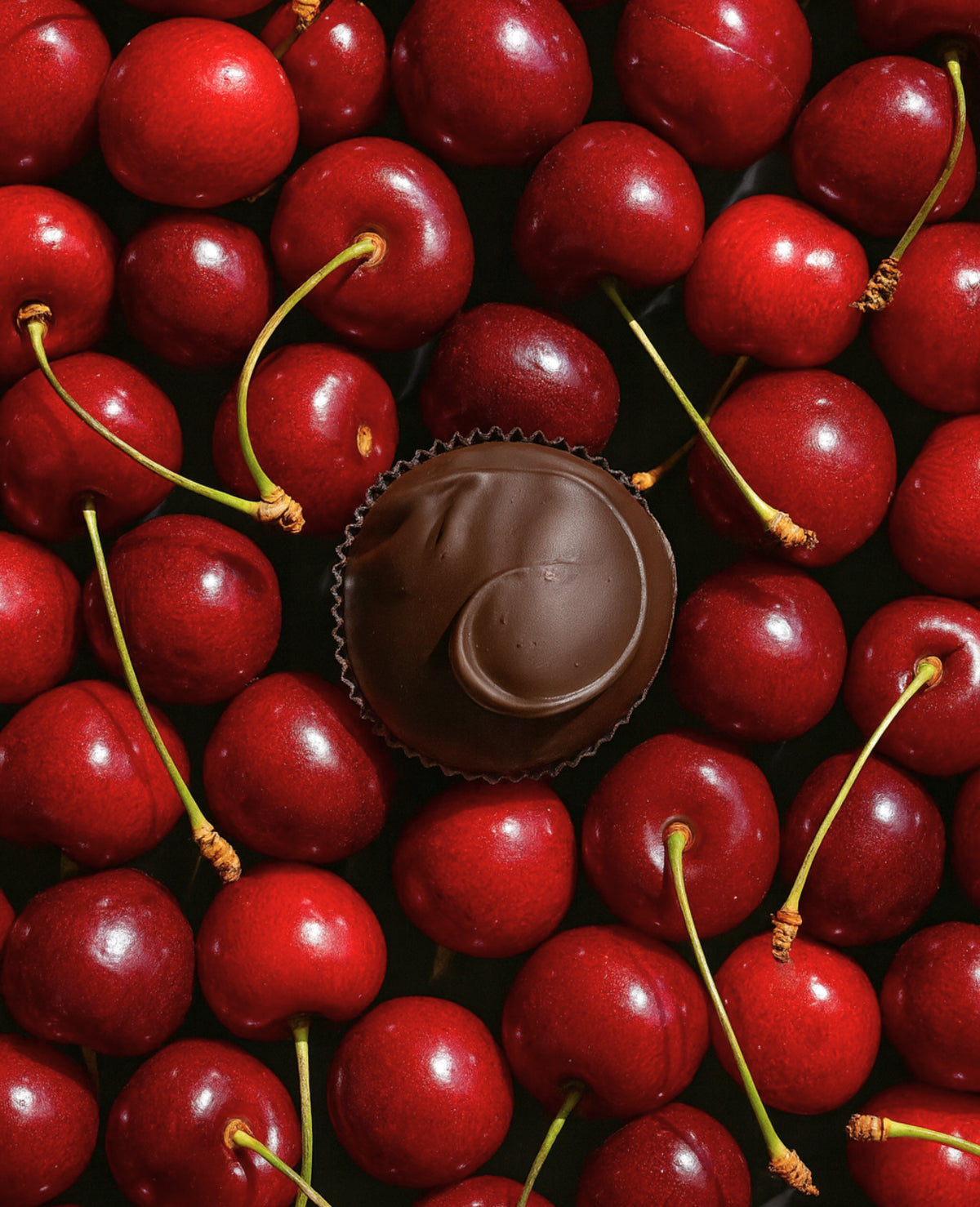 Ciliegie sotto spirito con Cioccolato Fondente