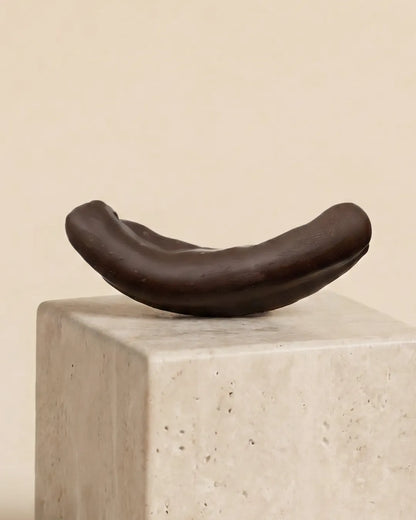Candied Citron Peel Coated in Dark Chocolate