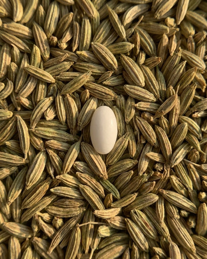 Sugared Fennel Seeds